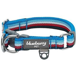 Blueberry Pet 3m Reflekterende hundehalsbånd | Justerbar hundekrave m/flerfarvet stribe - Azurblå og hindbærrød | Nylon Pet Collars til hunde og