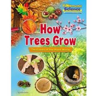 How Trees Grow