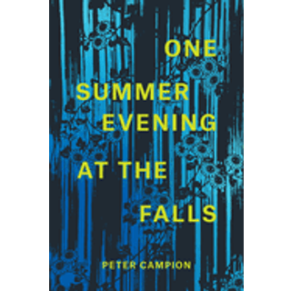 One Summer Evening at the Falls