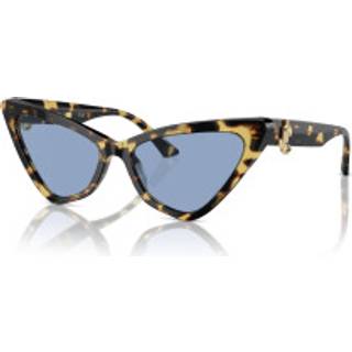 Jimmy Choo Kvinde JC5008 500472 Solbriller Acetat Havana Lyseblå Cat Eye Normal