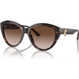 Jimmy Choo Kvinde JC5007 500213 Solbriller Acetat Havana Brun Pantos Normal Skygge