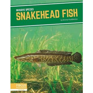 Snakehead Fish