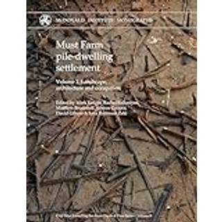 Must Farm pile-dwelling settlement