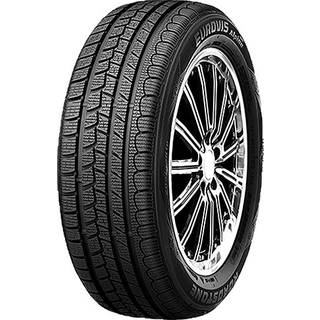 Roadstone Eurovis Alpine WH1 3PMSF 225/55R16 95H