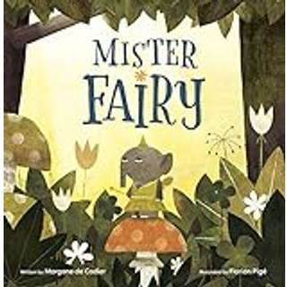 Mister Fairy