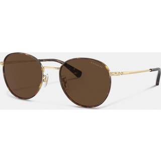 Coach HC7163 CR631 90053G 52 Solbriller Mænd Guld - Dark Tortoiseshell - 52mm