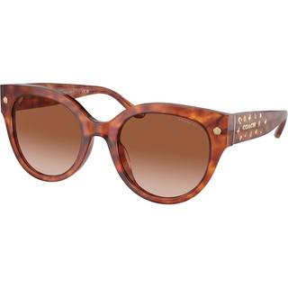 Coach HC8393U CR612 577413 53 Solbriller Kvinder Tortoiseshell - Tortoise Caramel - 53mm