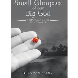 Small Glimpses of Our Big God