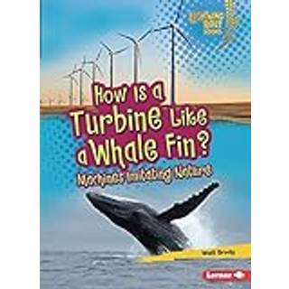 How Is a Turbine Like a Whale Fin?