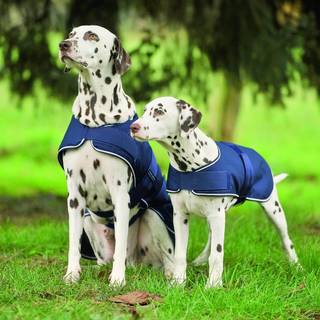 Waldhausen Regndækken til Hund