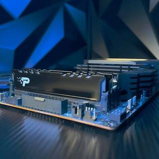 Patriot Signature Premium Line - DDR5 - module - 24 GB - DIMM 288-pin - 2800 MHz / PC5-44800 - unbuffered