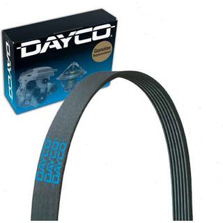 Dayco 5040382 Serpentine Belt