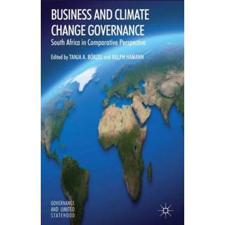 Business and Climate Change Governance