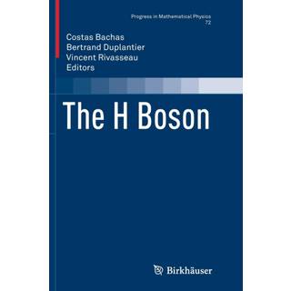 The H Boson