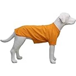 Lovelonglong 2019 Pet Clothing Dog Costumes Basic Blank T-Shirt Tee Shirts For Medium Dogs Orange XXL