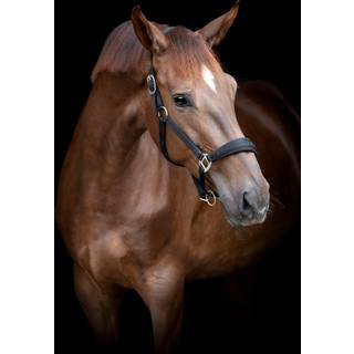 HorseGuard Diya 2.0 Grime, Sort - XFULL