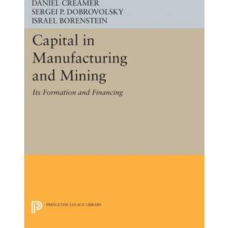 Capital in Manufacturing and Mining
