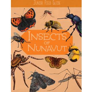 Junior Field Guide: Insects of Nunavut