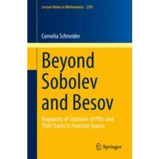 Beyond Sobolev and Besov