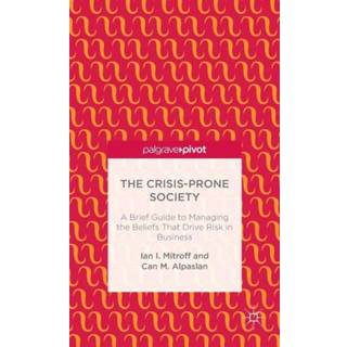 The Crisis-Prone Society: A Brief Guide to Managing the Beliefs that Drive Risk in Business