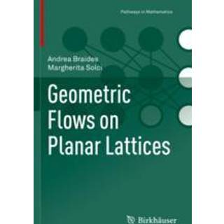 Geometric Flows on Planar Lattices