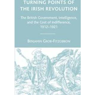 Turning Points of the Irish Revolution