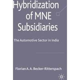 Hybridization of MNE Subsidiaries
