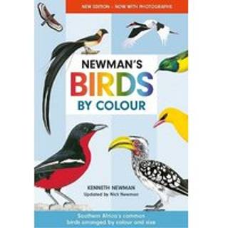 Newman's Birds by Colour
