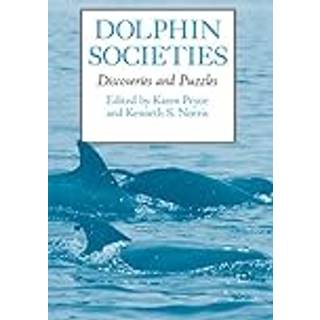 Dolphin Societies
