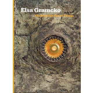 Elsa Gramcko: The Invisible Plot of Things