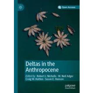 Deltas in the Anthropocene