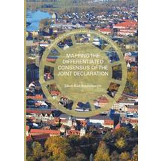 Mapping the Differentiated Consensus of the Joint Declaration