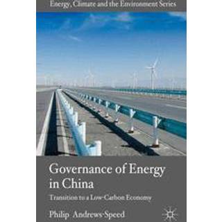 The Governance of Energy in China