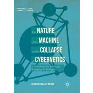 The Nature of the Machine and the Collapse of Cybernetics