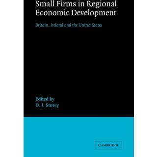 Small Firms in Regional Economic Development