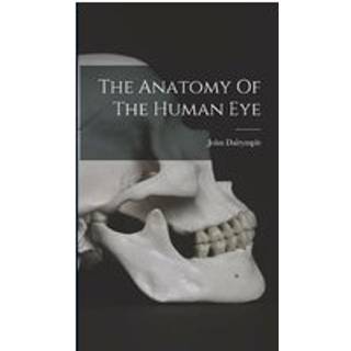 The Anatomy Of The Human Eye