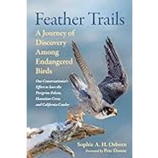Feather Trails