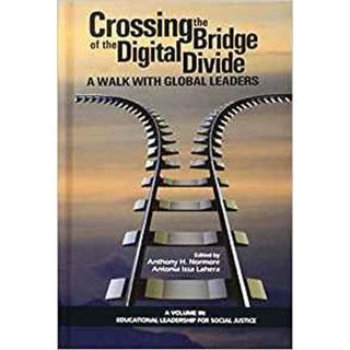 Crossing the Bridge of the Digital Divide