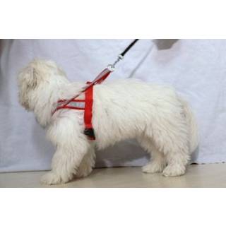 Refleks sele ALAC Sort 50 cm