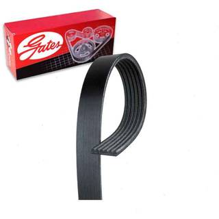 Micro-V Serpentine Drive Belt