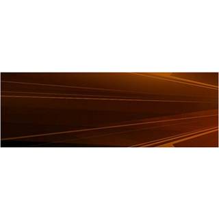 Wiffle Ball - Nintendo DS