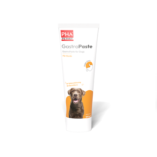 PHA - Gastropaste - 100ml