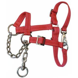 Grime med kæde malkekvæg kalv rød