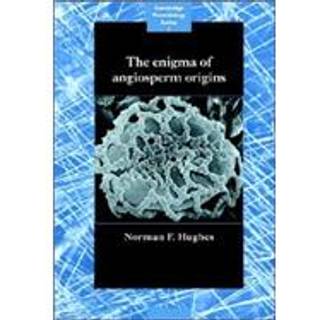 The Enigma of Angiosperm Origins