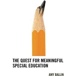 The Quest for Meaningful Special Education