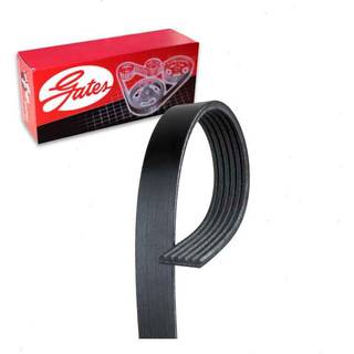Micro-V Serpentine Drive Belt