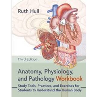 Anatomy, Physiology, and Pathology Workbook