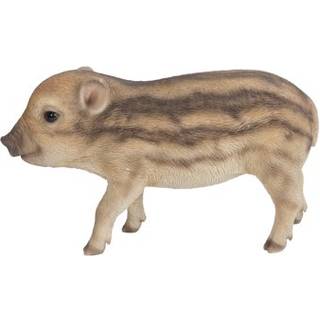 Hi-line gave vild babyboar st?ende brun