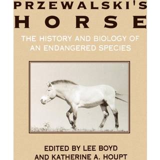Przewalski's Horse