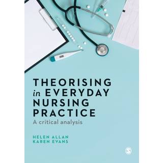 Theorising in Everyday Nursing Practice